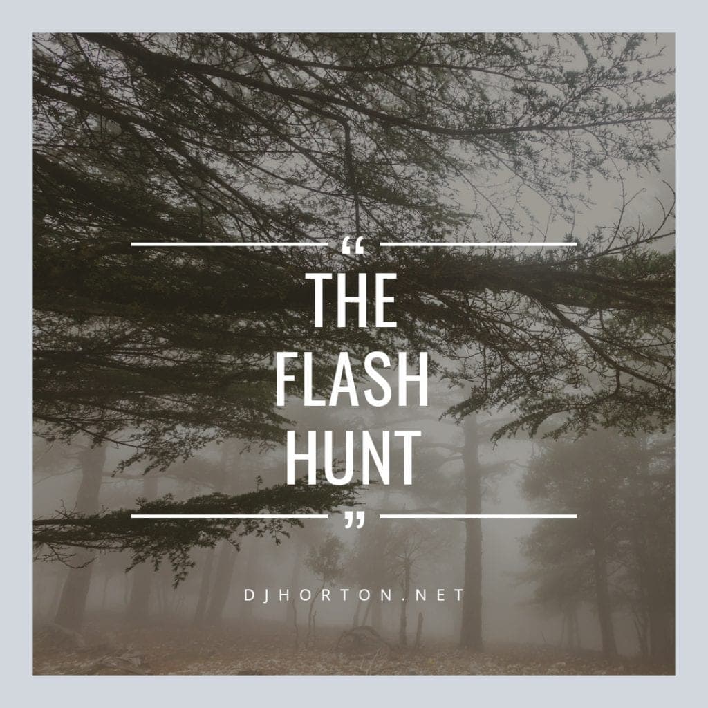DJHorton_The_Flash_Hunt_1080x1080 DJHorton_The_Flash_Hunt_1080x1080
