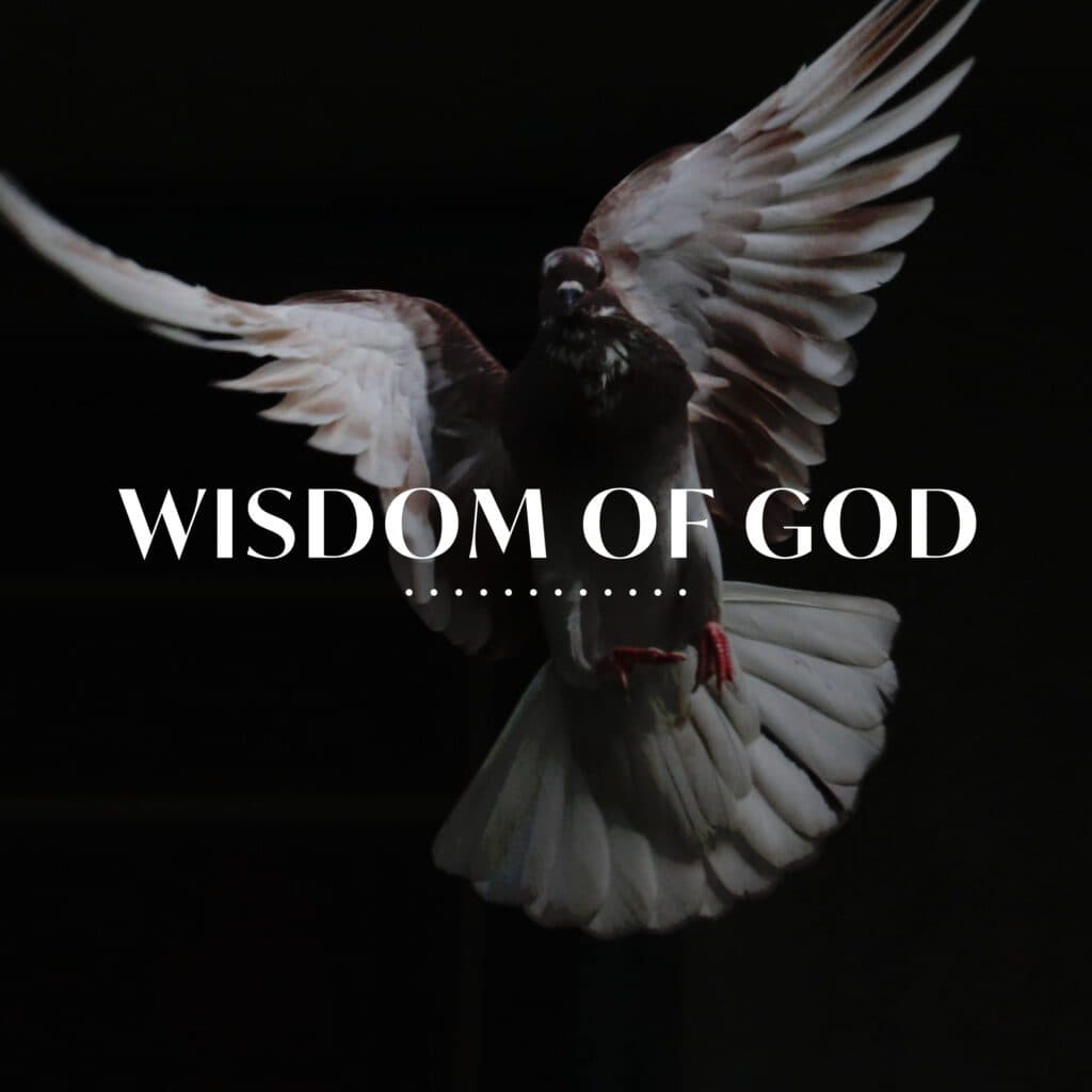 Wisdom_Of_God_Square